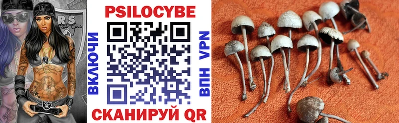 Псилоцибиновые грибы мицелий  Агрыз 